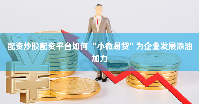 配资炒股配资平台如何 “小微易贷”为企业发展添油加力