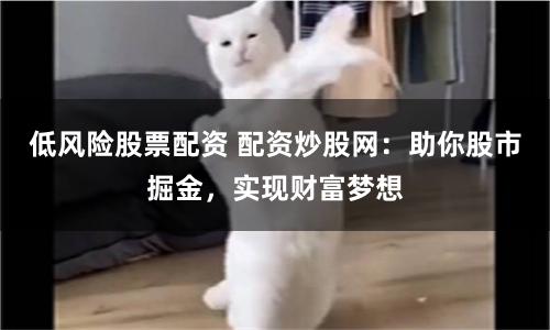 低风险股票配资 配资炒股网：助你股市掘金，实现财富梦想