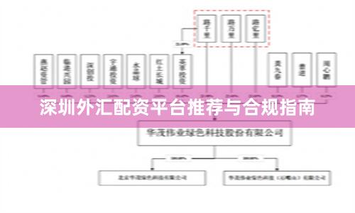 深圳外汇配资平台推荐与合规指南